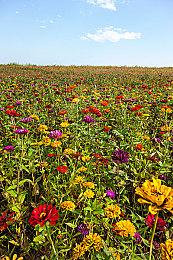 KK对战平台双十一大促来袭！查收你的进货清单！